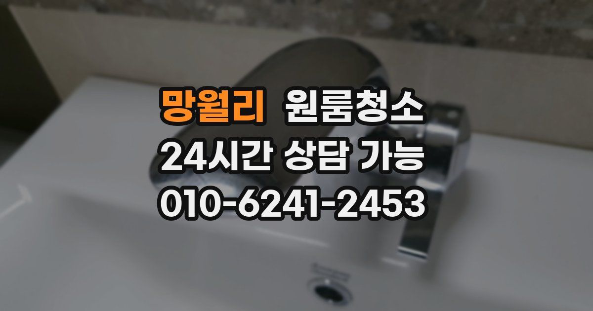 망월리 입주청소