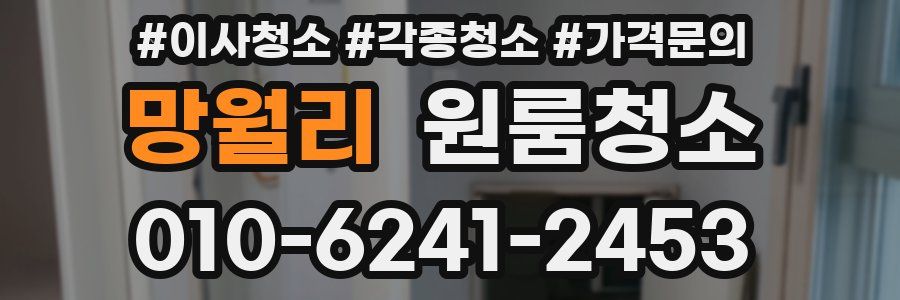 망월리 이사청소