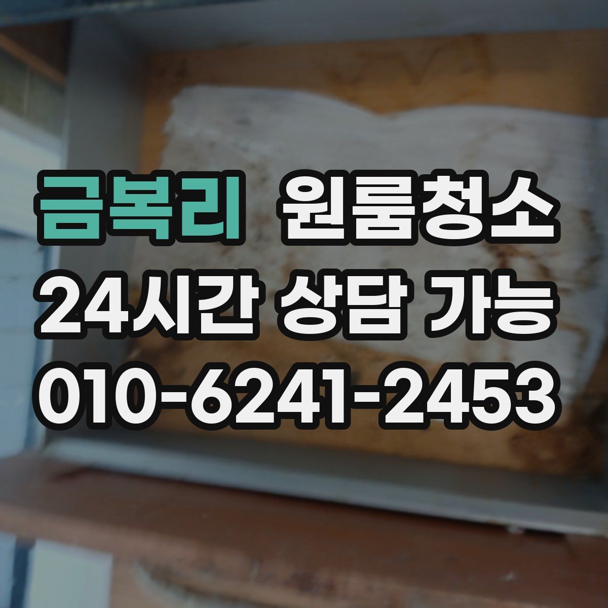 금복리 원룸청소