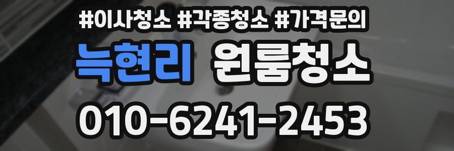 늑현리 이사청소