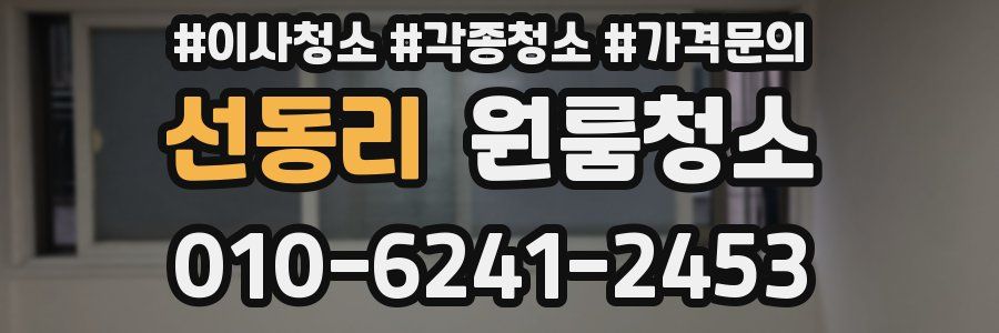 선동리 이사청소