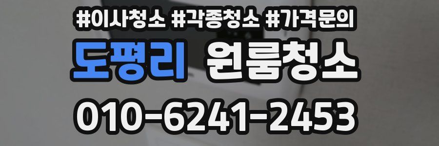 도평리 이사청소