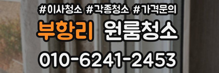 부항리 이사청소