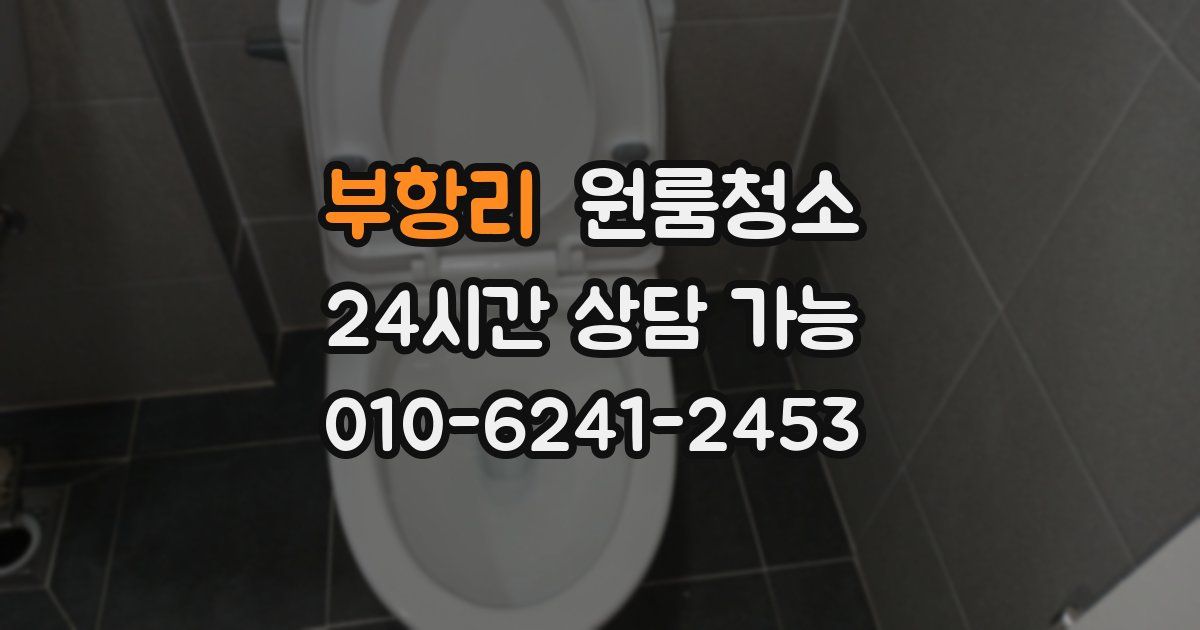 부항리 입주청소