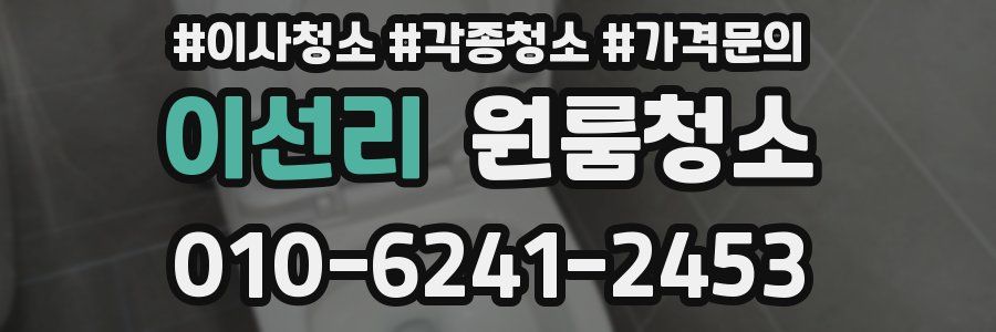 이선리 이사청소