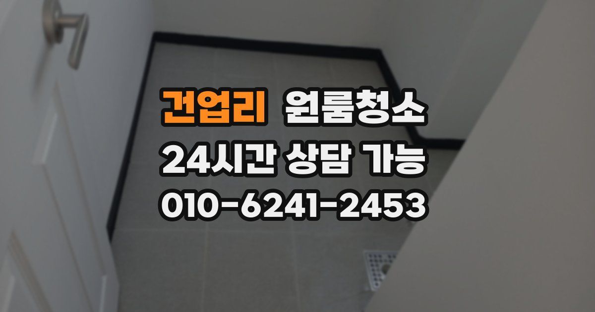 건업리 입주청소