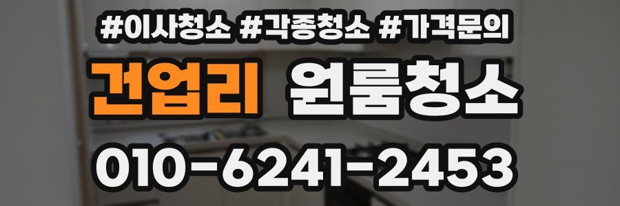 건업리 이사청소