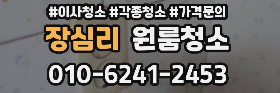 장심리 이사청소