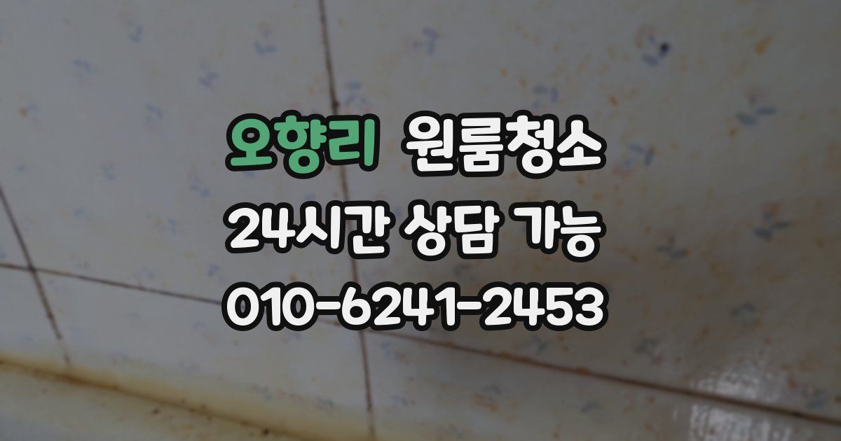 오향리 입주청소