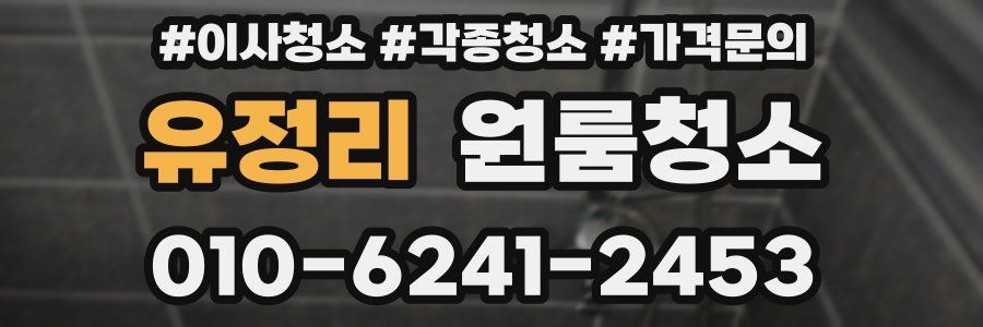 유정리 이사청소