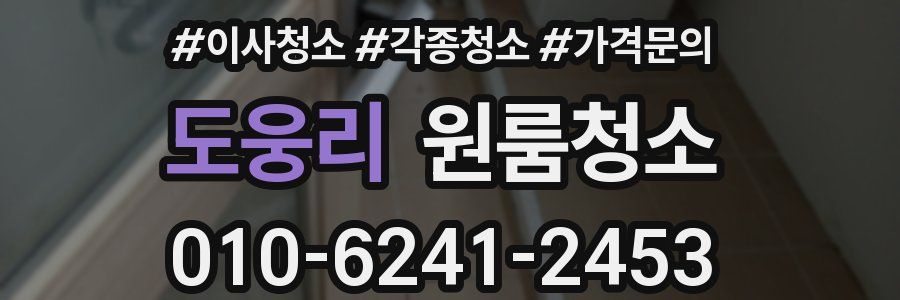 도웅리 이사청소