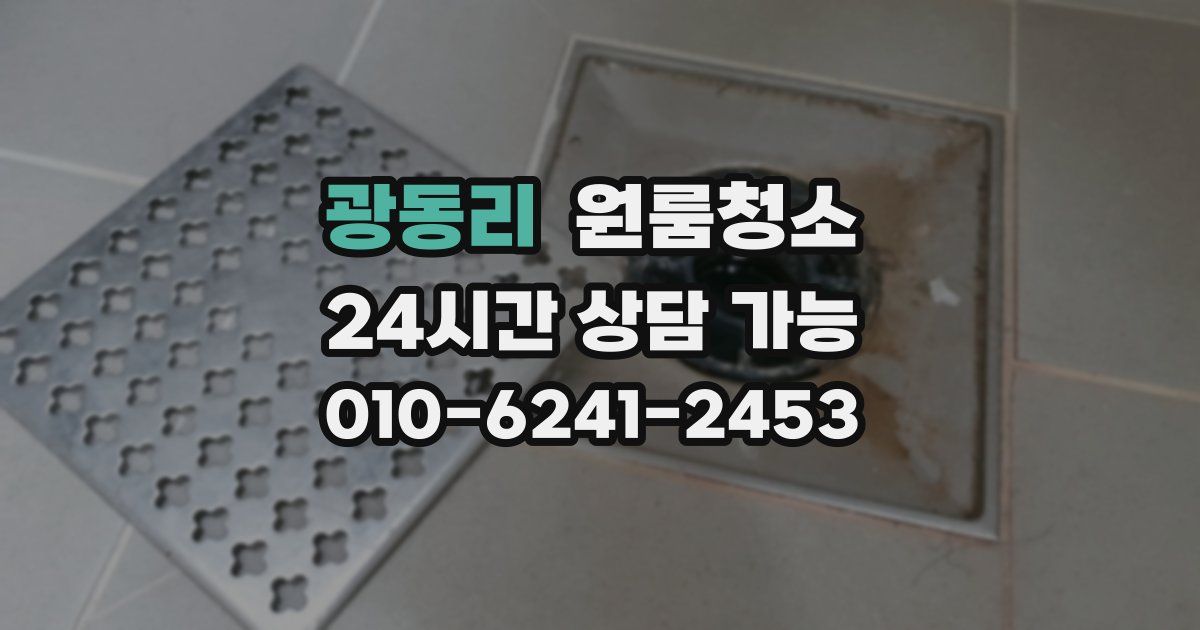 광동리 입주청소