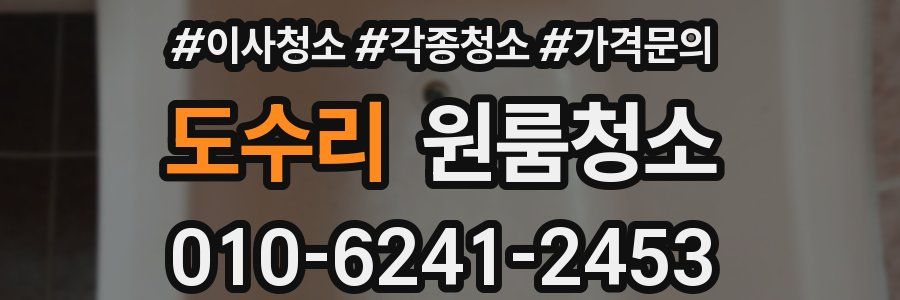 도수리 이사청소