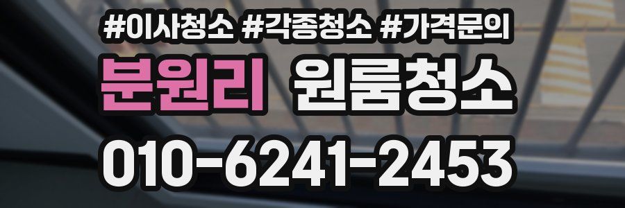 분원리 이사청소