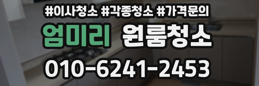 엄미리 이사청소