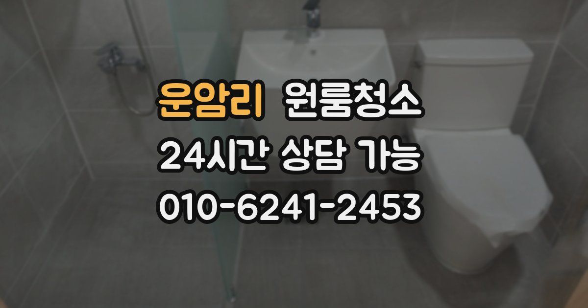 운암리 입주청소