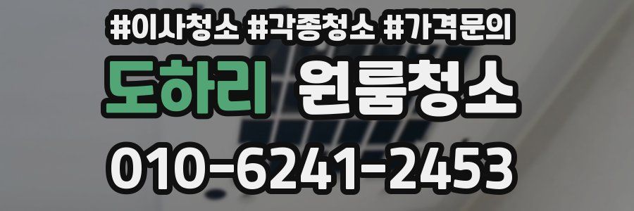 도하리 이사청소