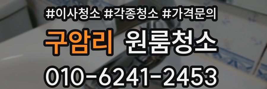 구암리 이사청소