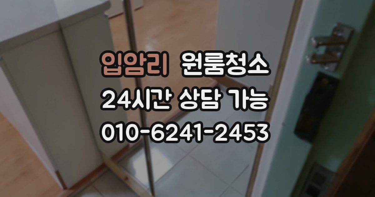 입암리 입주청소