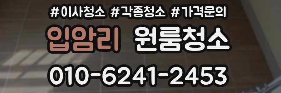 입암리 이사청소