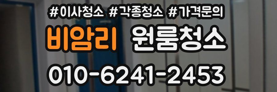 비암리 이사청소