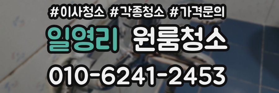 일영리 이사청소