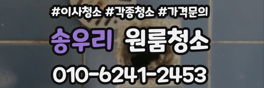 송우리 이사청소