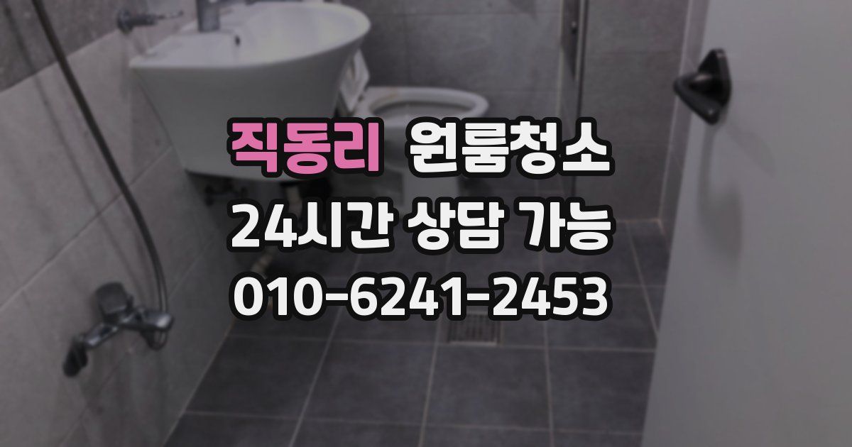 직동리 입주청소