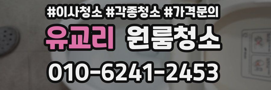 유교리 이사청소