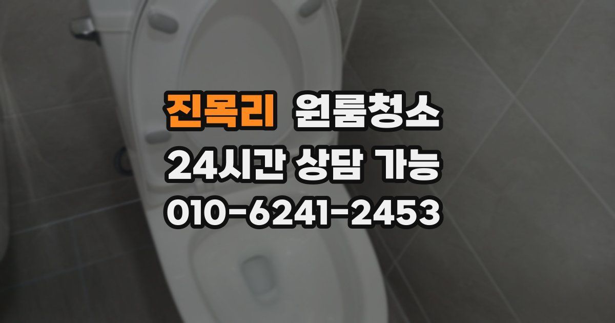 진목리 입주청소