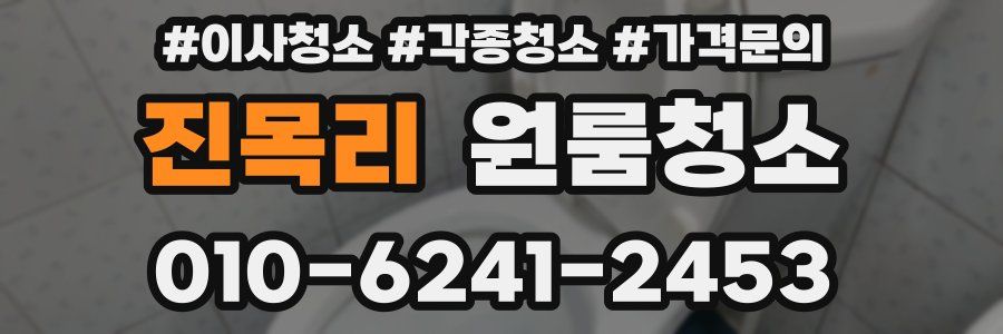 진목리 이사청소