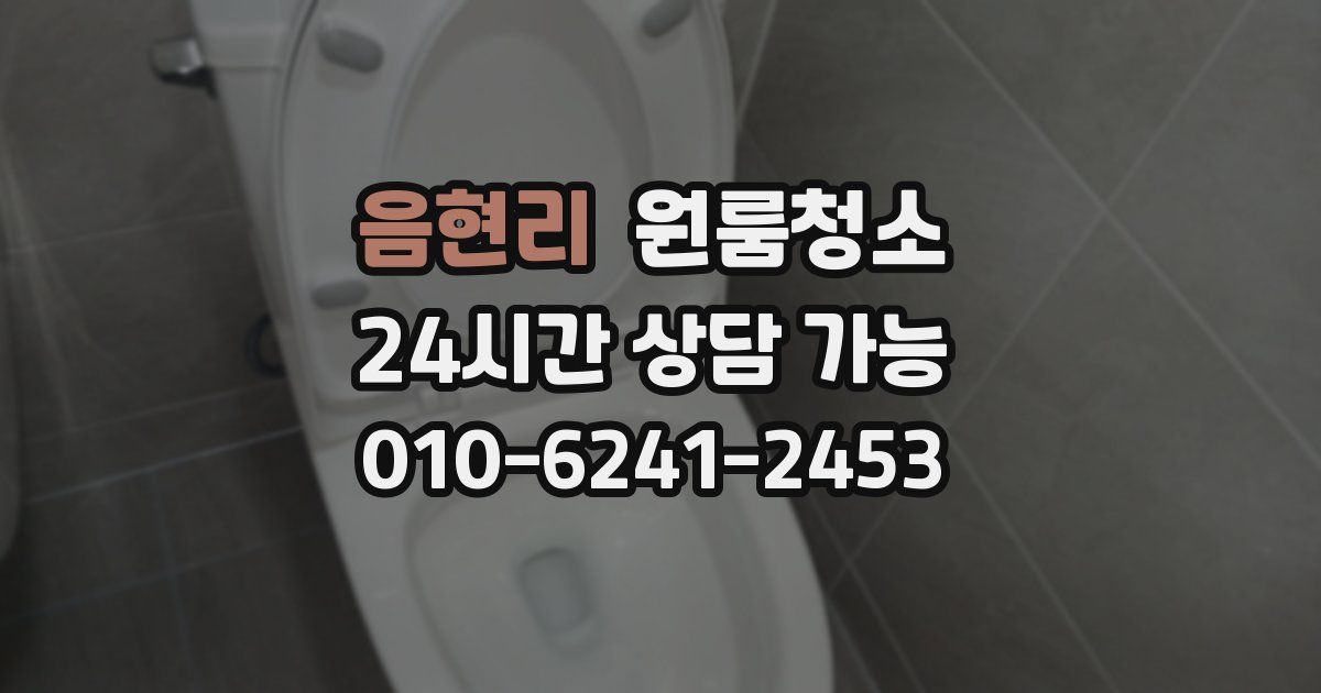 음현리 입주청소