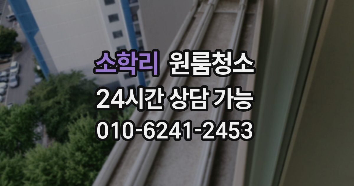 소학리 입주청소