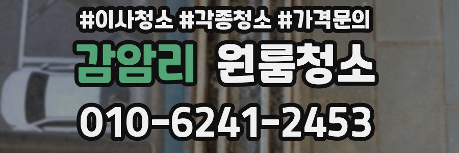 감암리 이사청소