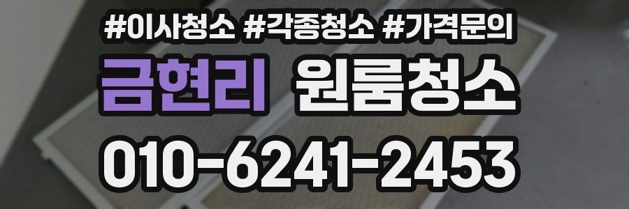 금현리 이사청소