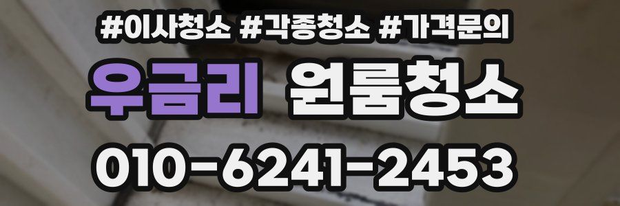 우금리 이사청소