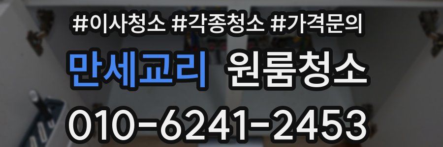 만세교리 이사청소