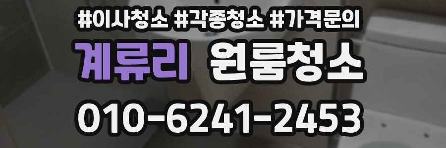 계류리 이사청소