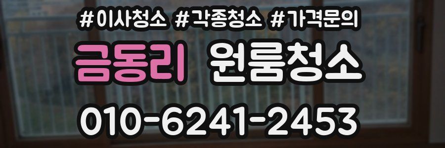 금동리 이사청소