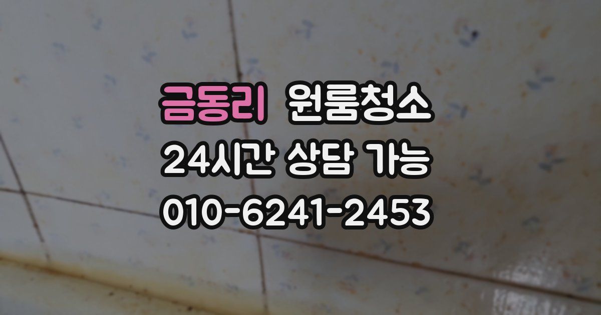 금동리 입주청소