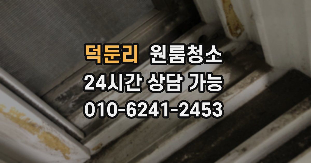 덕둔리 입주청소