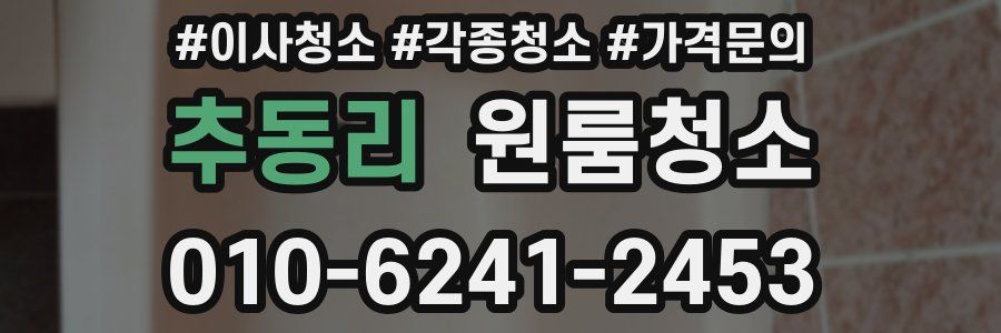 추동리 이사청소