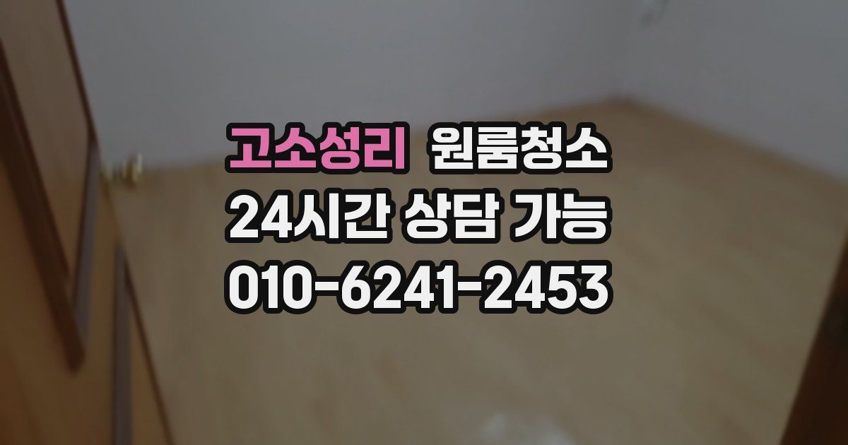 고소성리 입주청소