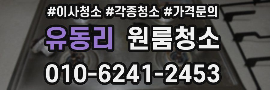 유동리 이사청소