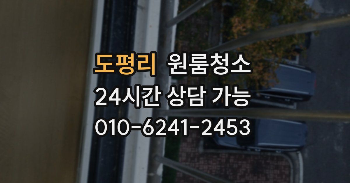 도평리 입주청소