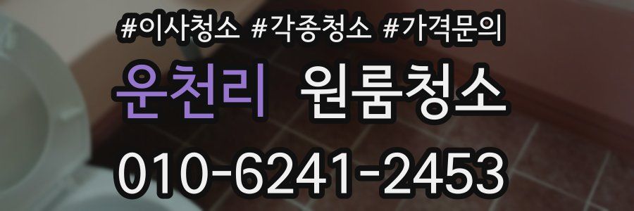 운천리 이사청소