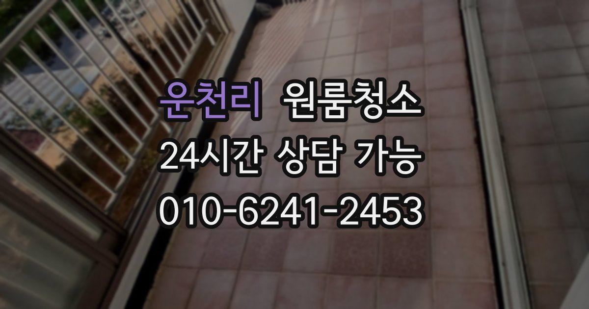 운천리 입주청소