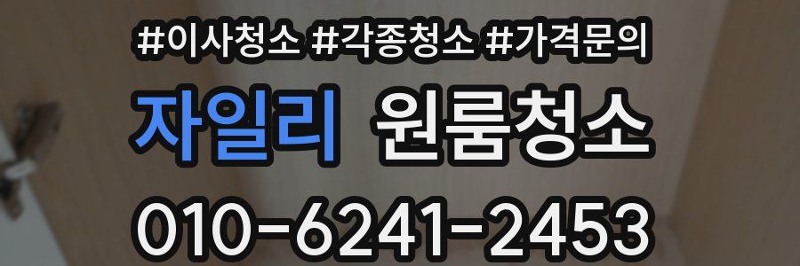 자일리 이사청소