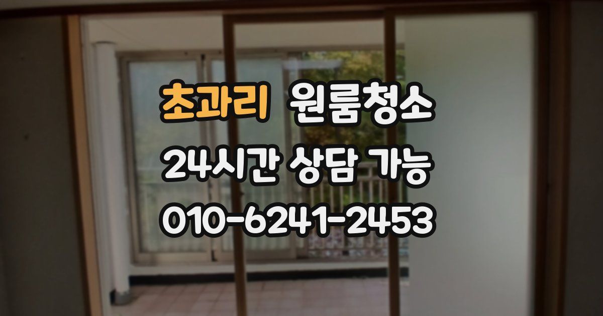 초과리 입주청소