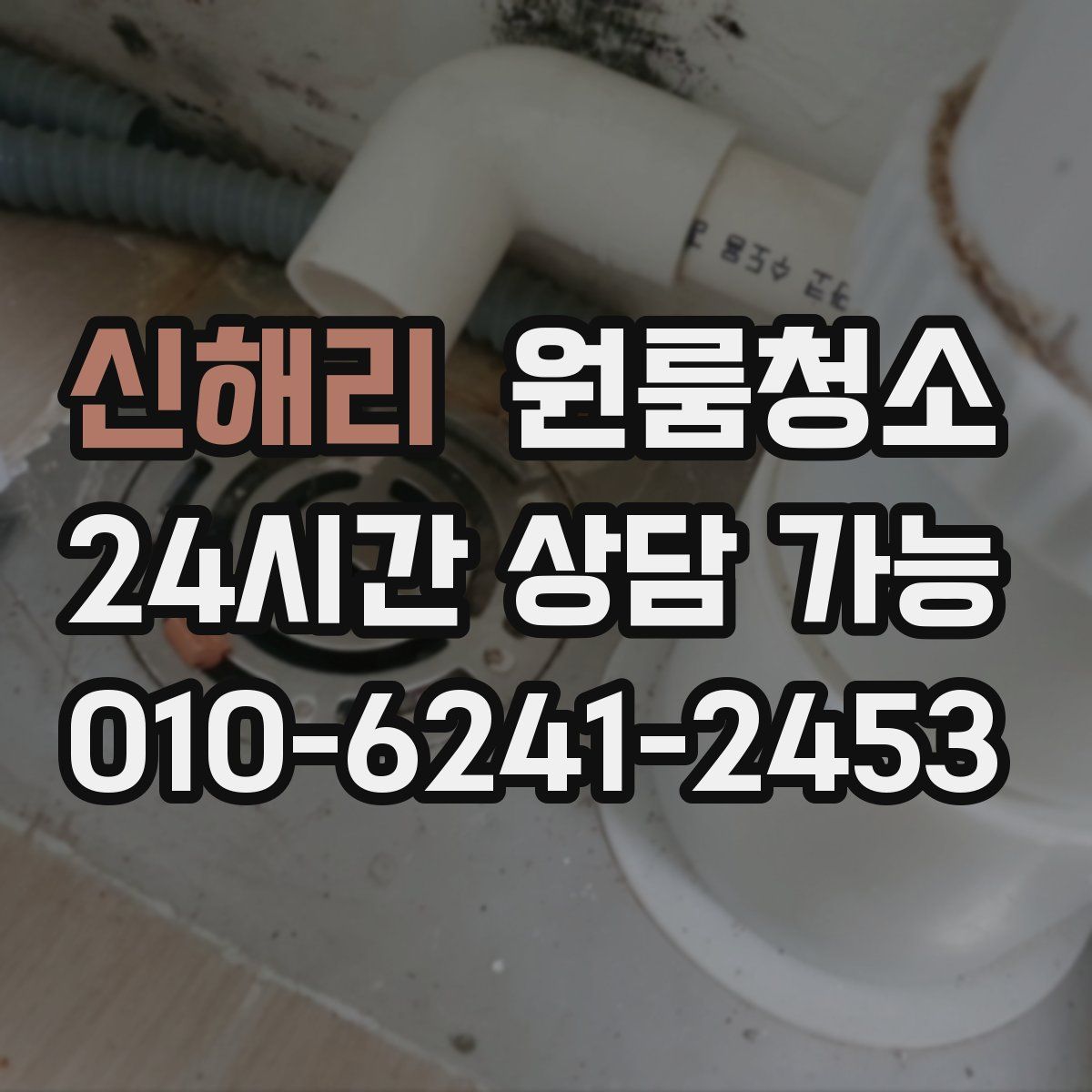 신해리 원룸청소